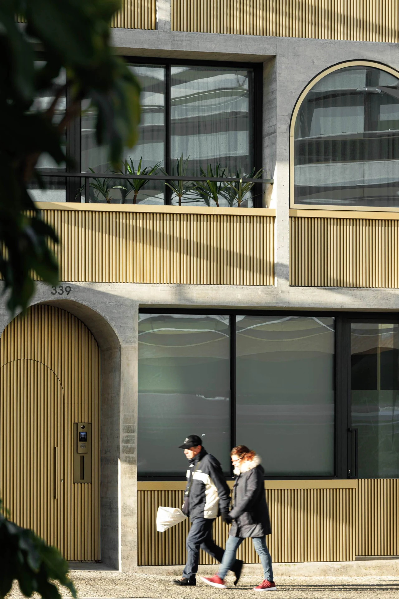 BOAVISTA 339 image